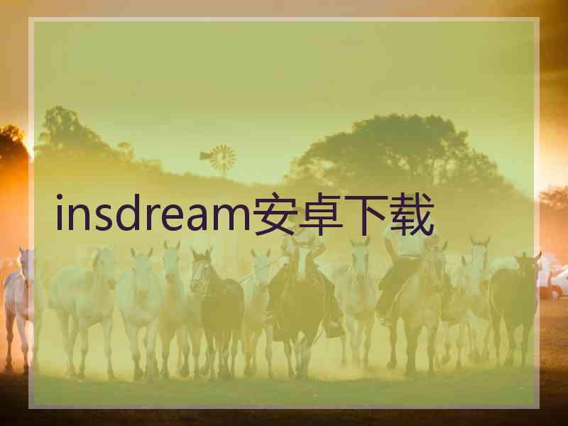 insdream安卓下载