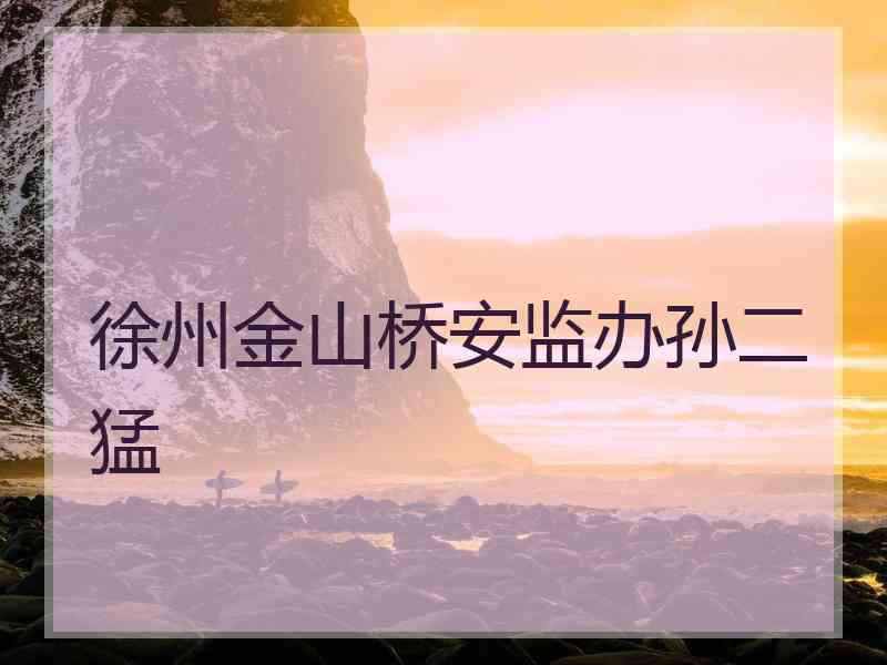 徐州金山桥安监办孙二猛