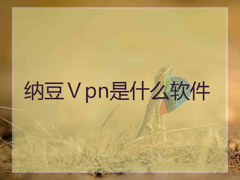 纳豆Ⅴpn是什么软件