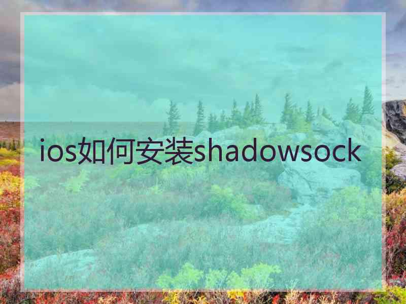 ios如何安装shadowsock