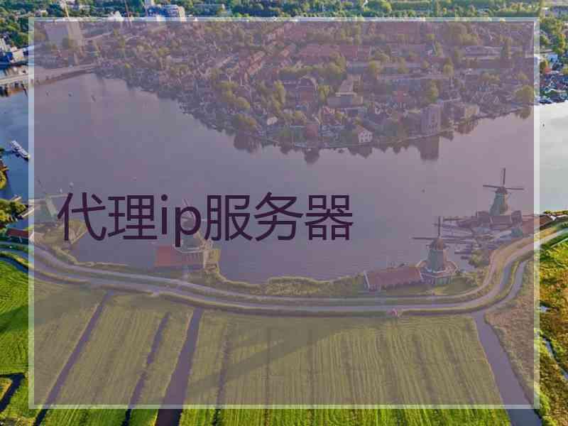 代理ip服务器