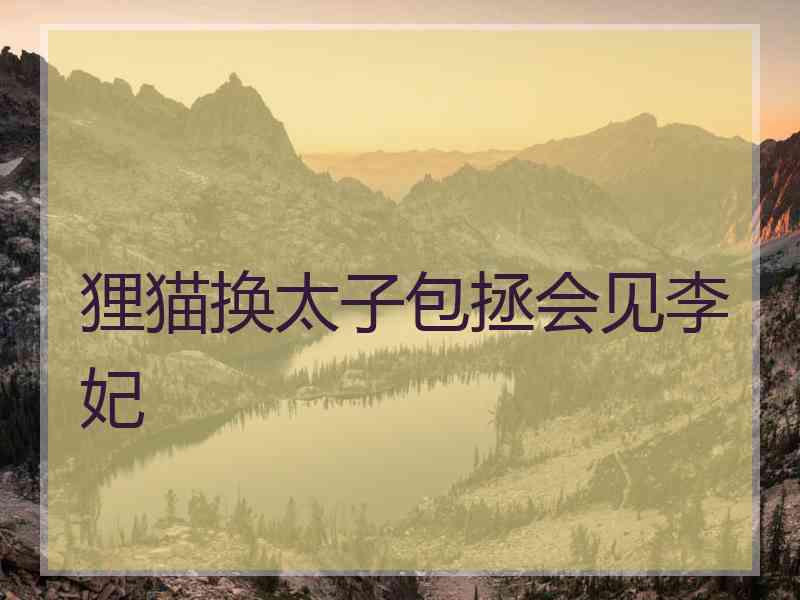 狸猫换太子包拯会见李妃