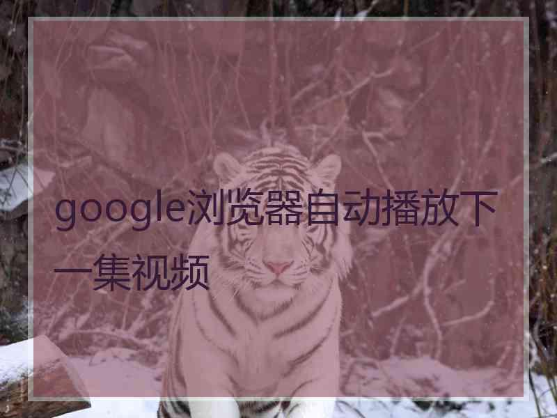 google浏览器自动播放下一集视频