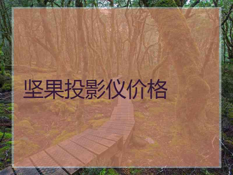 坚果投影仪价格