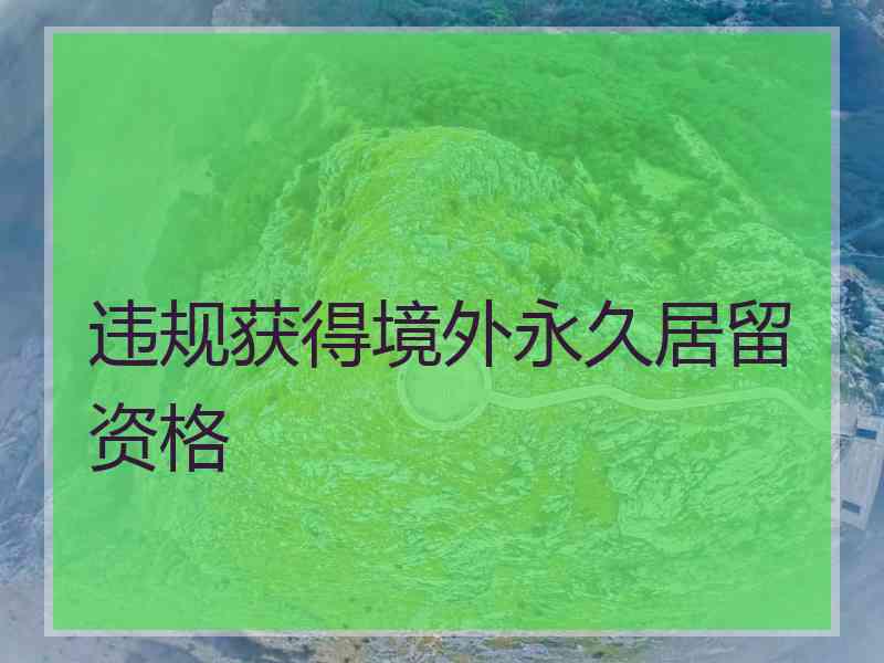 违规获得境外永久居留资格
