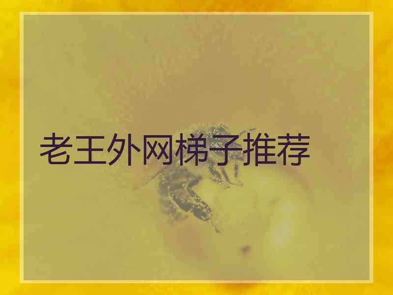 老王外网梯子推荐