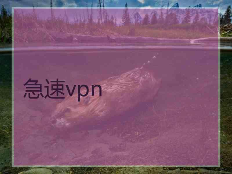 急速vpn