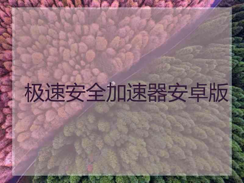 极速安全加速器安卓版