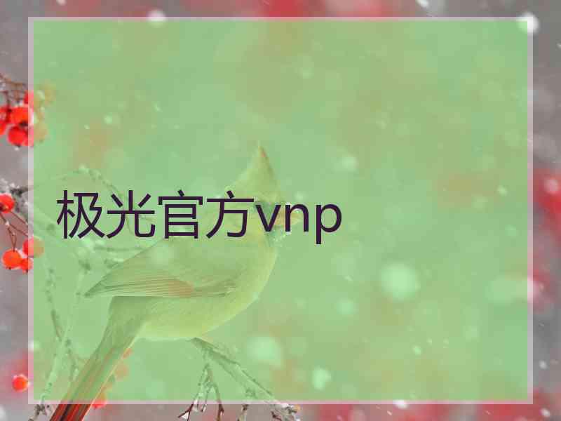 极光官方vnp