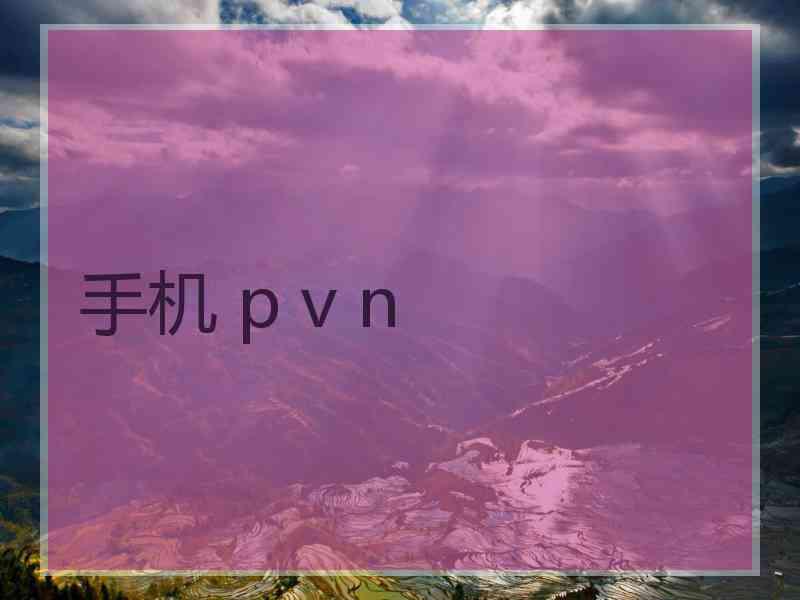 手机 p v n