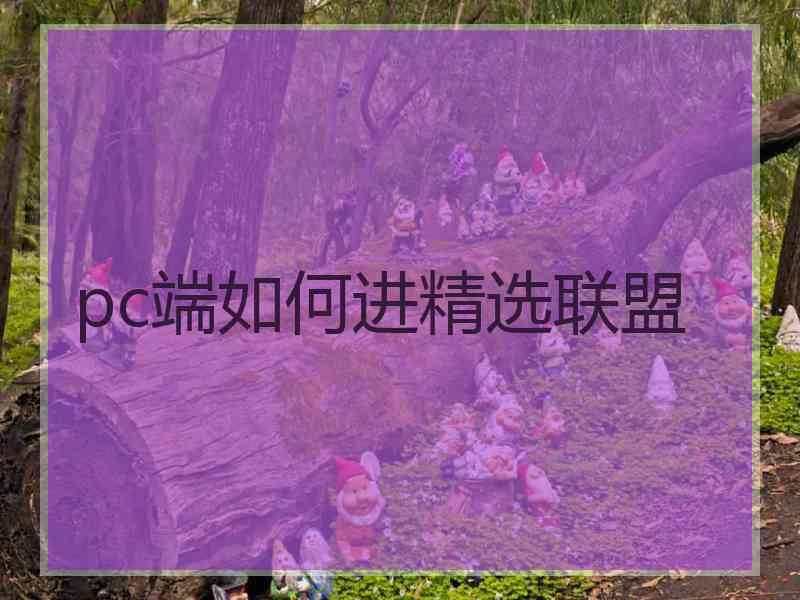 pc端如何进精选联盟
