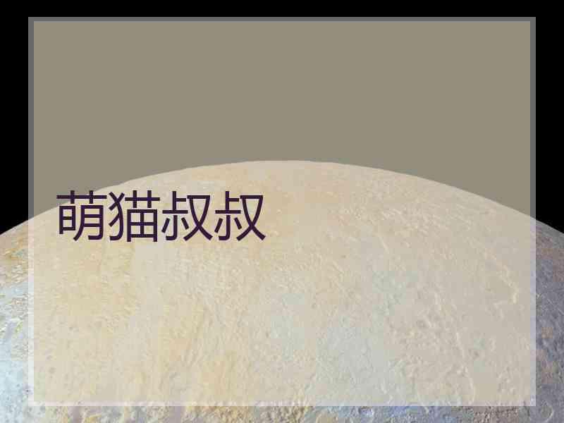 萌猫叔叔