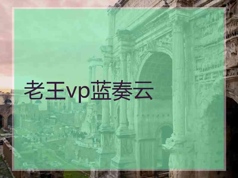 老王vp蓝奏云