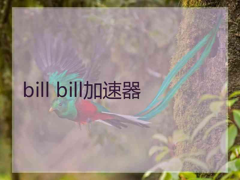 bill bill加速器