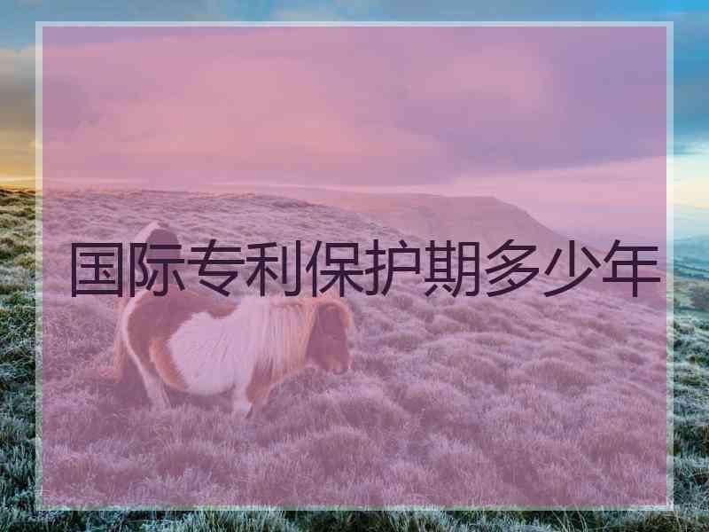 国际专利保护期多少年