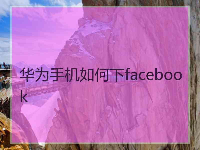 华为手机如何下facebook