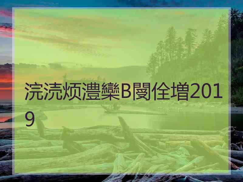 浣涜烦澧欒В閿佺増2019
