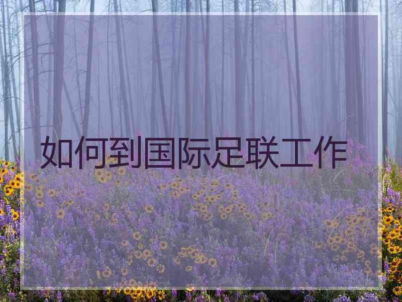 如何到国际足联工作