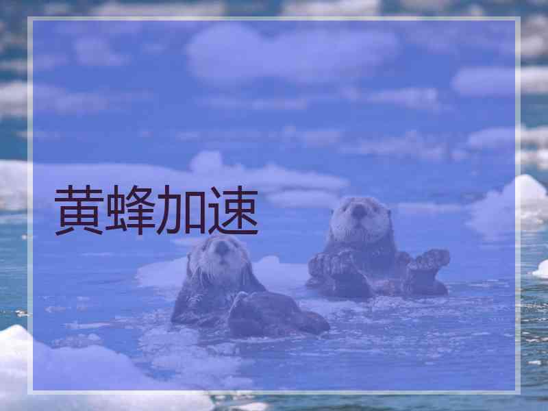 黄蜂加速