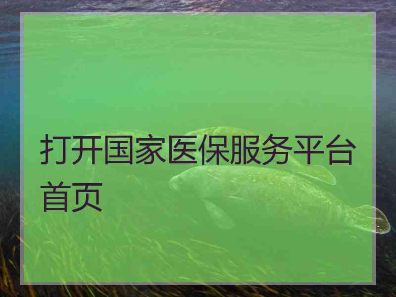 打开国家医保服务平台首页