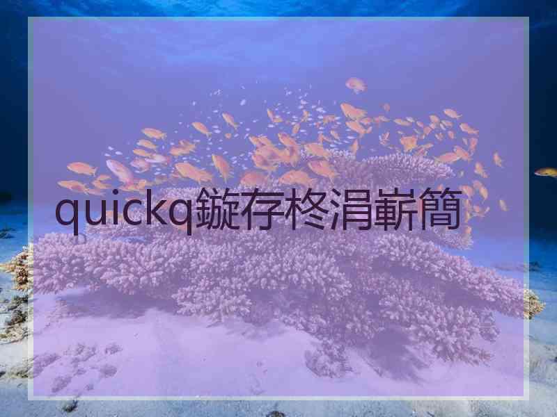 quickq鏇存柊涓嶄簡