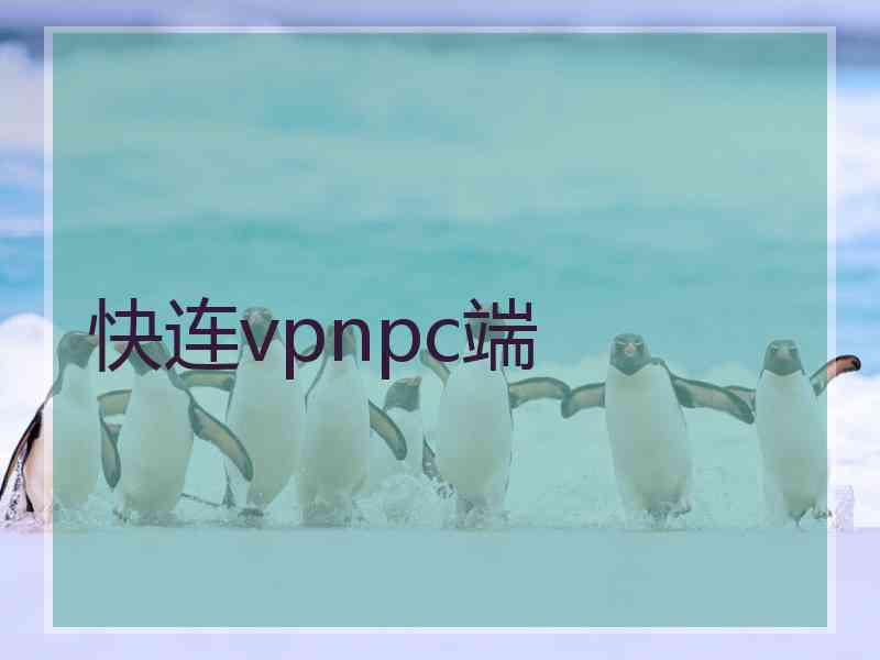 快连vpnpc端