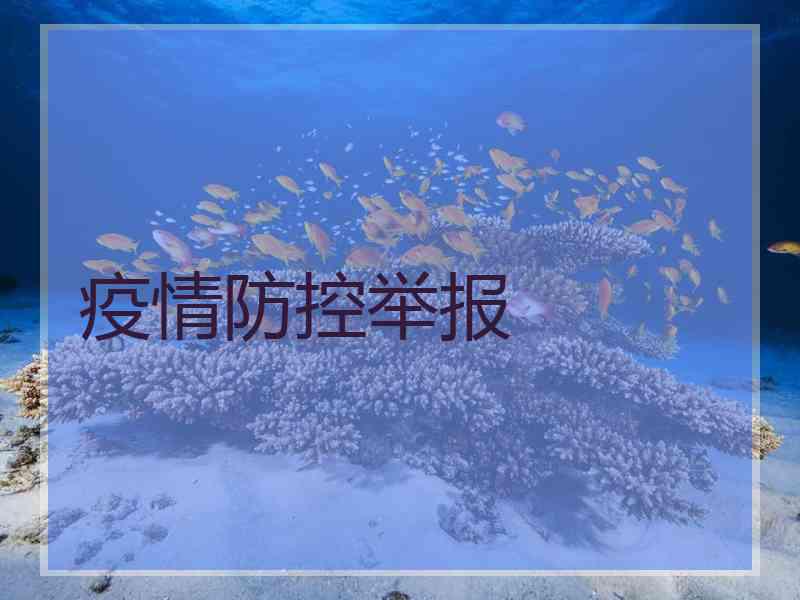 疫情防控举报