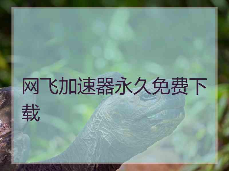 网飞加速器永久免费下载