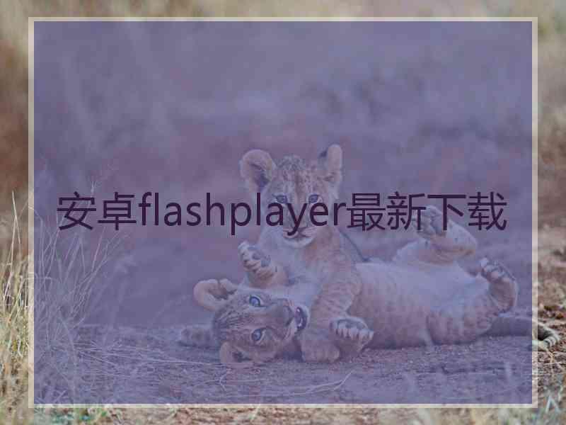 安卓flashplayer最新下载