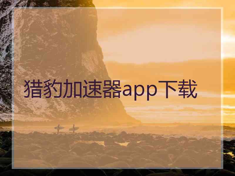 猎豹加速器app下载