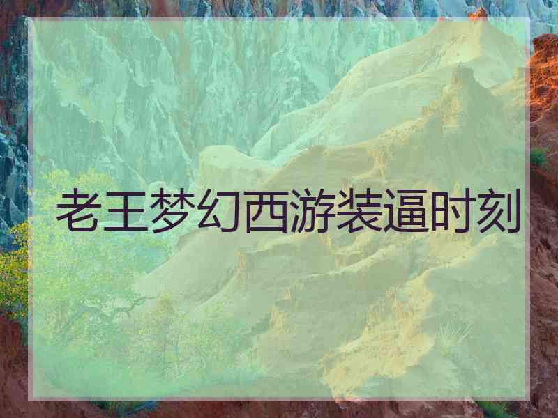 老王梦幻西游装逼时刻