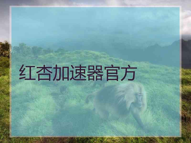 红杏加速器官方