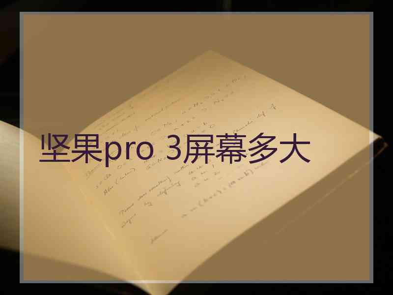坚果pro 3屏幕多大