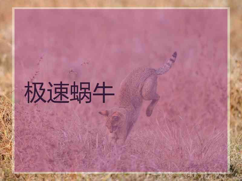 极速蜗牛