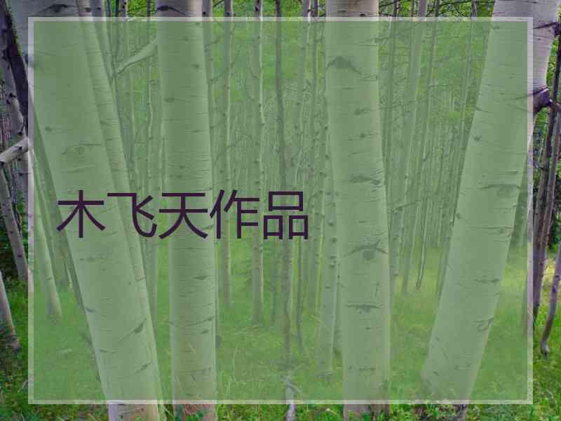 木飞天作品