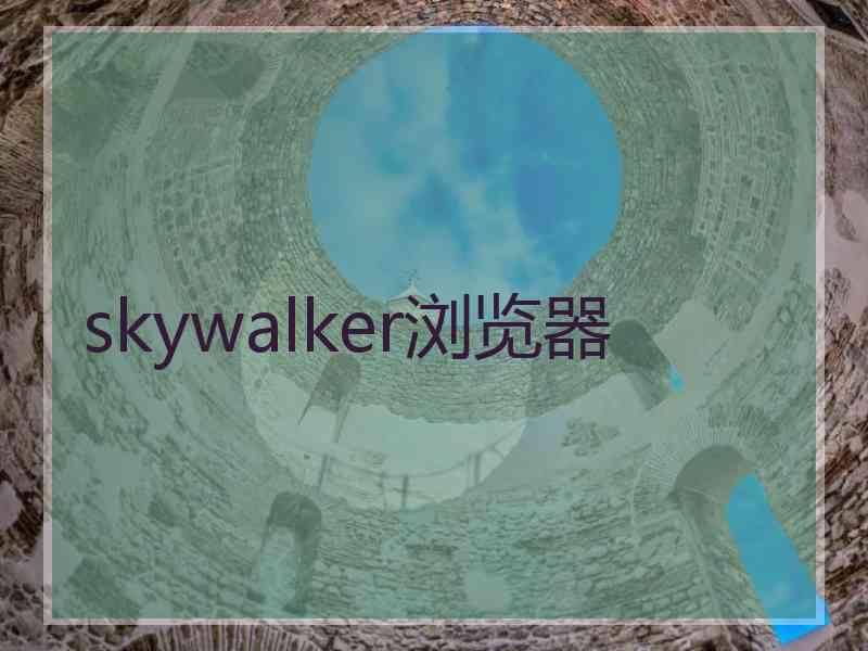 skywalker浏览器