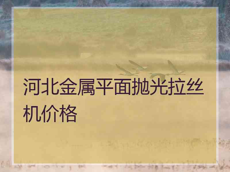 河北金属平面抛光拉丝机价格