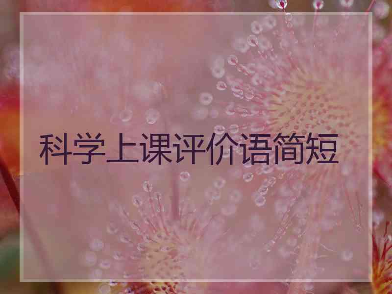 科学上课评价语简短