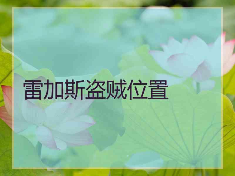 雷加斯盗贼位置