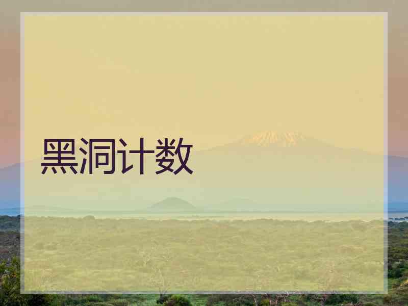 黑洞计数