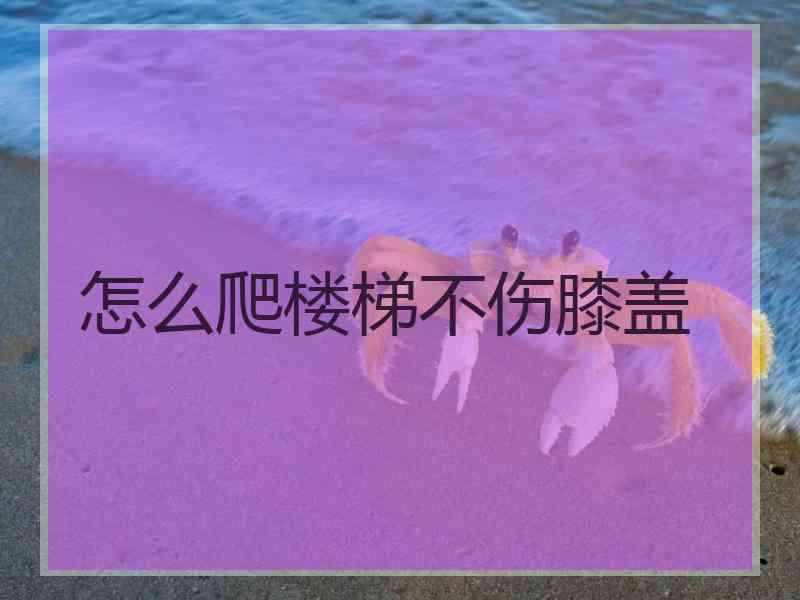 怎么爬楼梯不伤膝盖