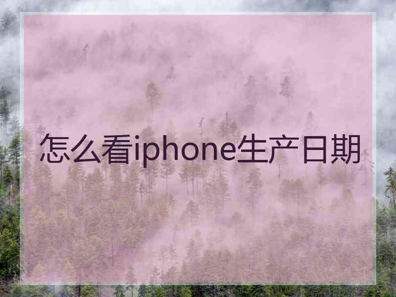 怎么看iphone生产日期