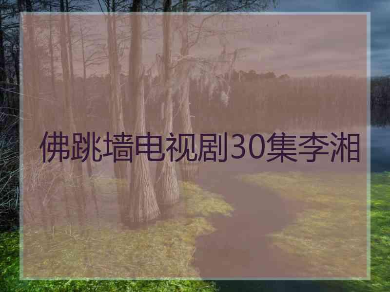 佛跳墙电视剧30集李湘