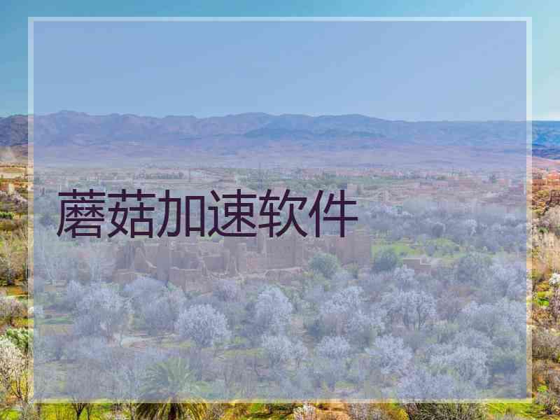蘑菇加速软件