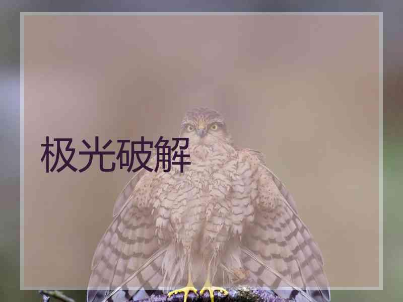 极光破解