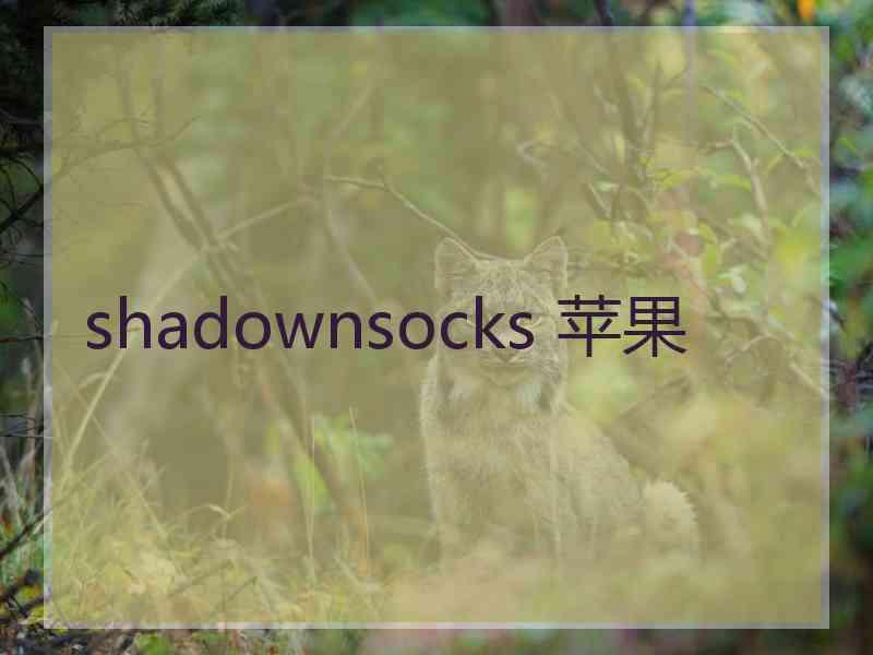 shadownsocks 苹果