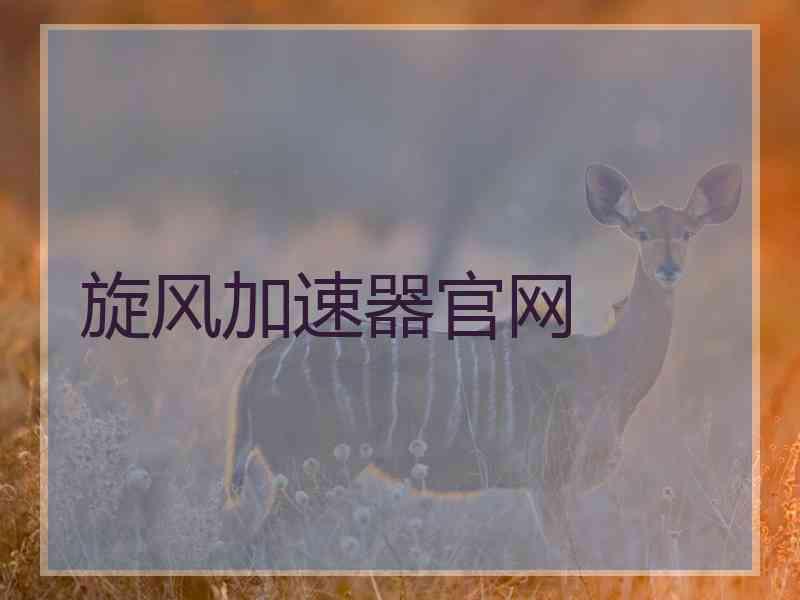 旋风加速器官网