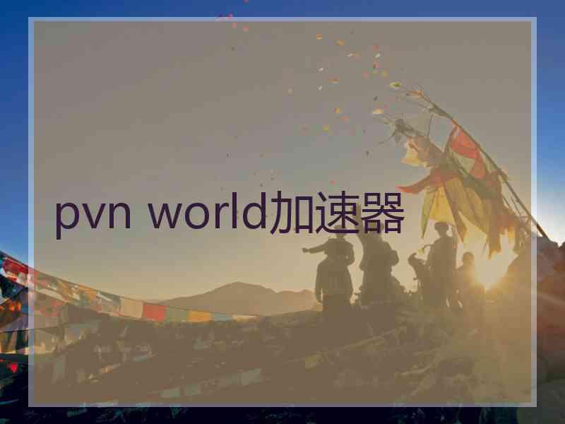 pvn world加速器