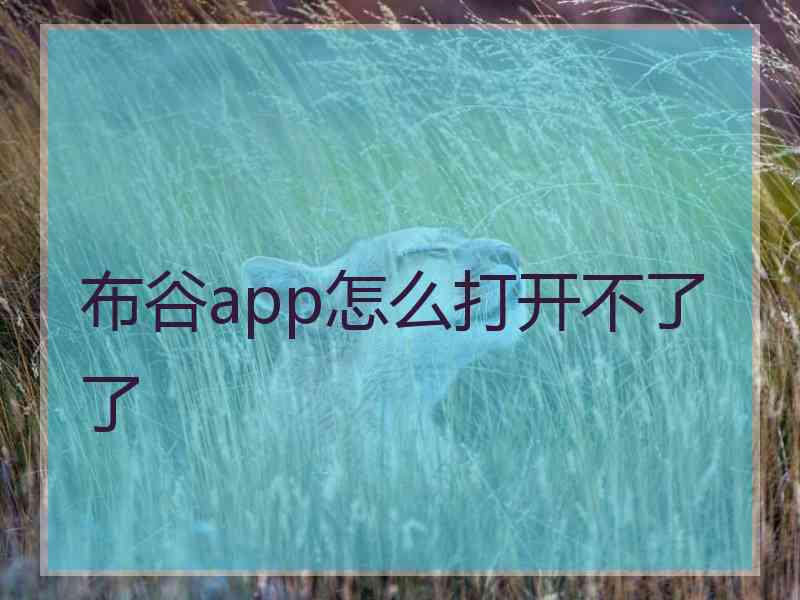 布谷app怎么打开不了了