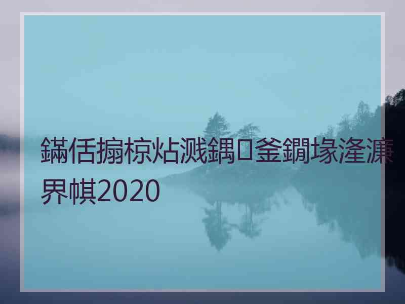 鏋佸搧椋炶溅鍝釜鐗堟湰濂界帺2020
